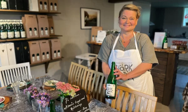 Guidad tur tasting tapas